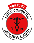 Liceo Comercial Molina Lavin
